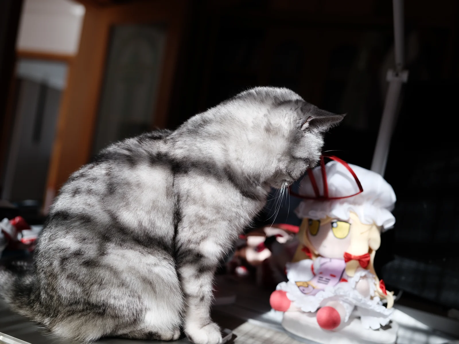 the-proxy-of-absence #12